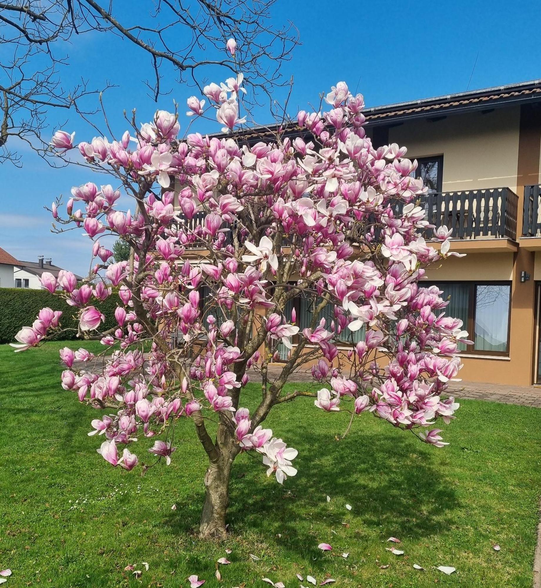 Apartments Ad רדנצי מראה חיצוני תמונה