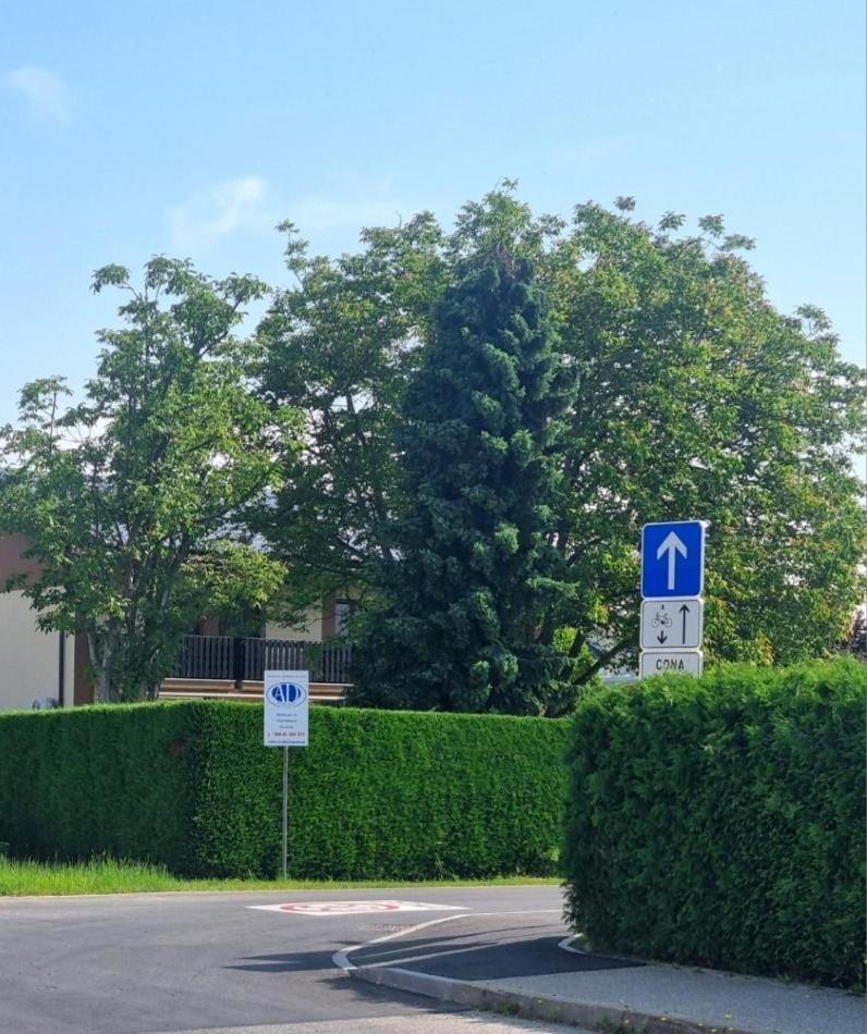 Apartments Ad רדנצי מראה חיצוני תמונה